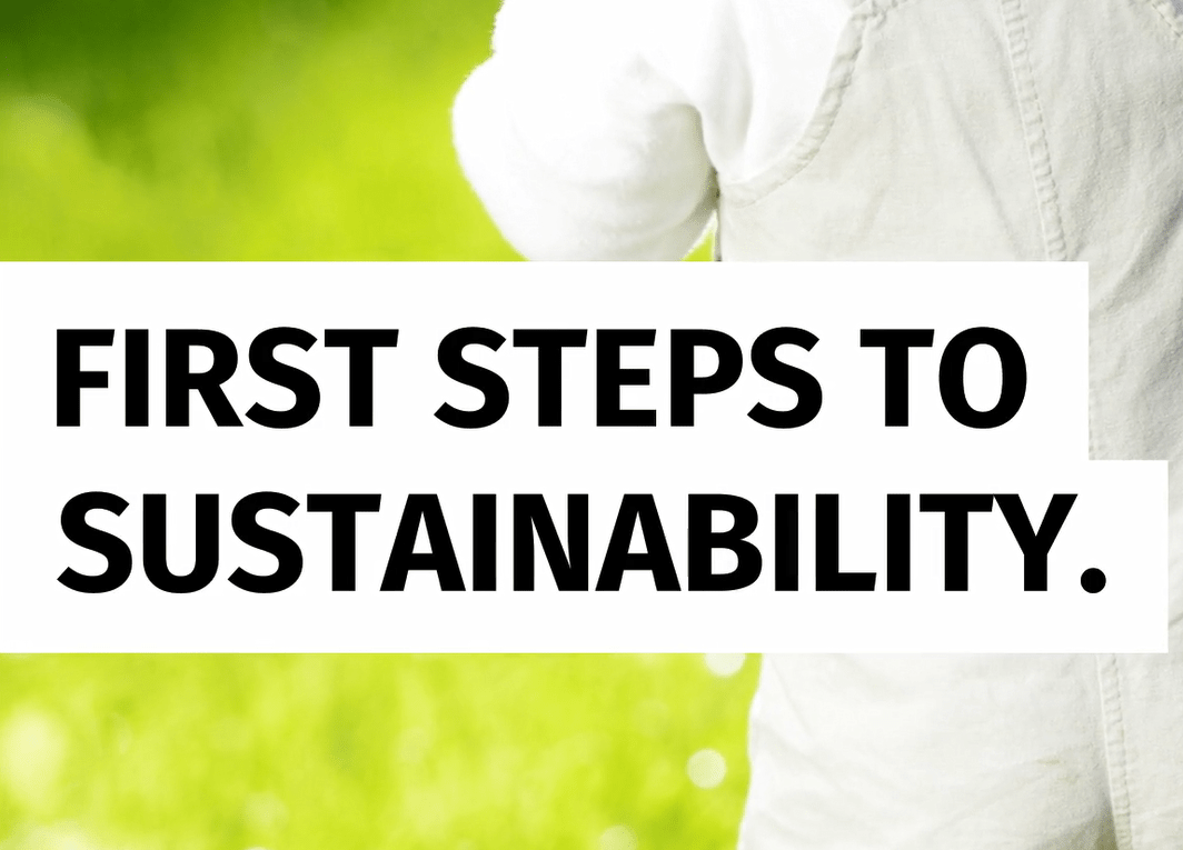 blog post image for post about taking first steps to sustainable living