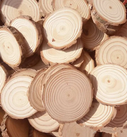 wood chip coasters