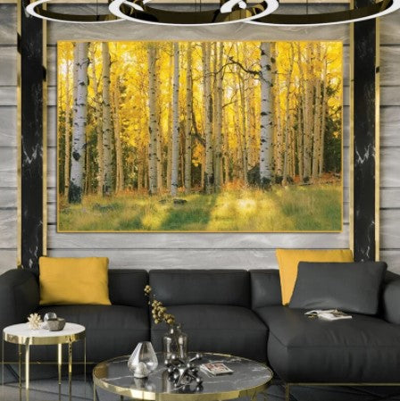 golden sunset birch tree canvas print
