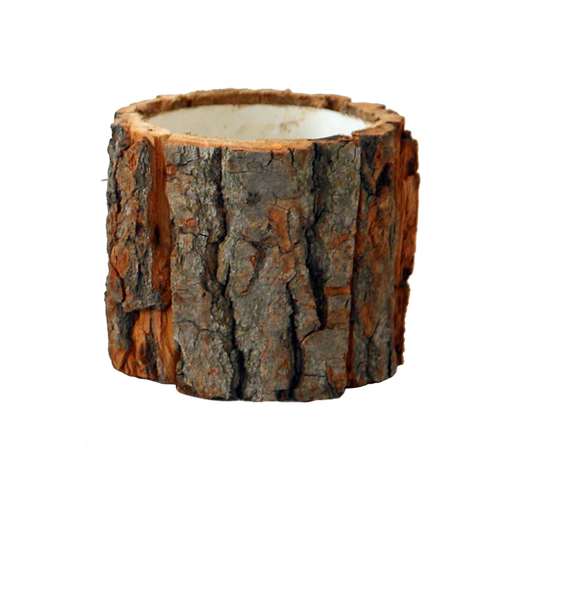 log planter-close up