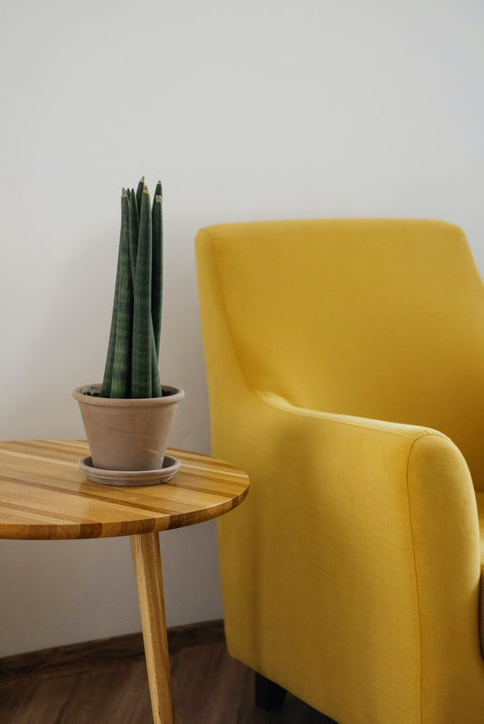 Seriously Stylish Space for 2021