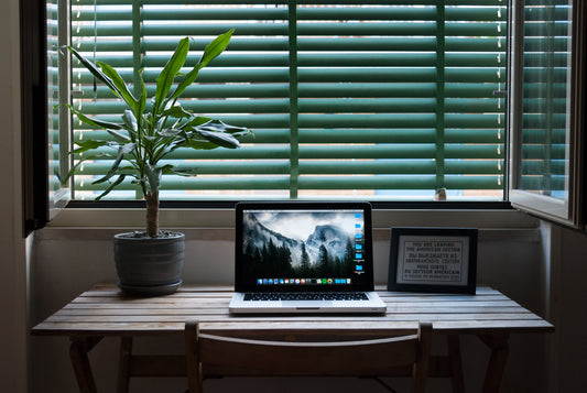 ecofriendly remote work space