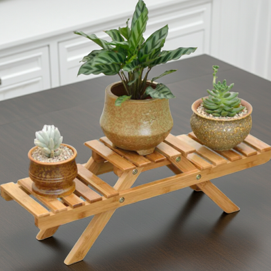 Wooden plant stand with three potted plants on a table