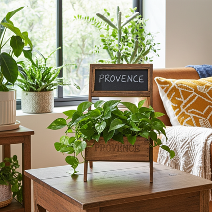 Wooden planter with a plant labeled 'Provence' on a table in a room with plants and a window.