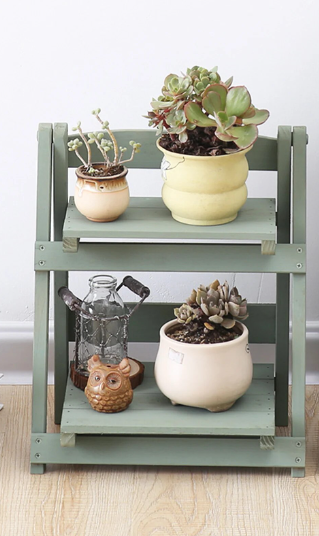 sage plant stand with plants