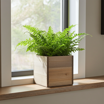 Green fern plant in a wooden planter on a windowsill with natural light.