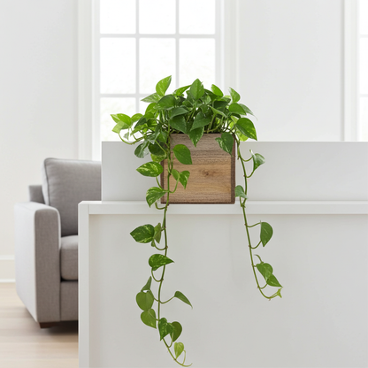 Pothos plant in a wooden pot hanging indoors with a neutral background