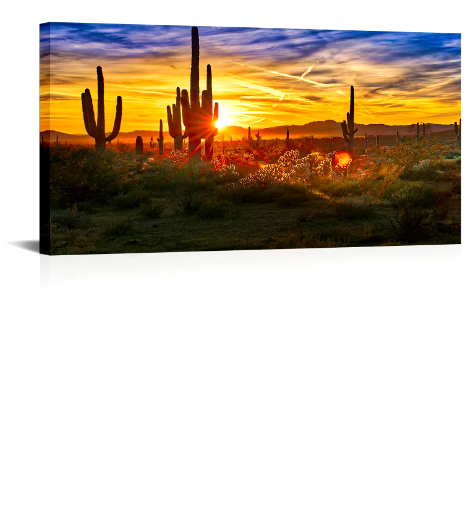 canvas wall art of a sunset in the desert