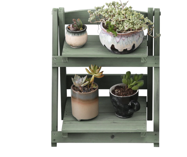 sage plant stand with plants