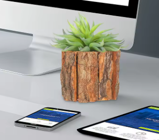 Decorative plant pot with succulents on a desk next to a computer monitor, smartphone, and tablet.