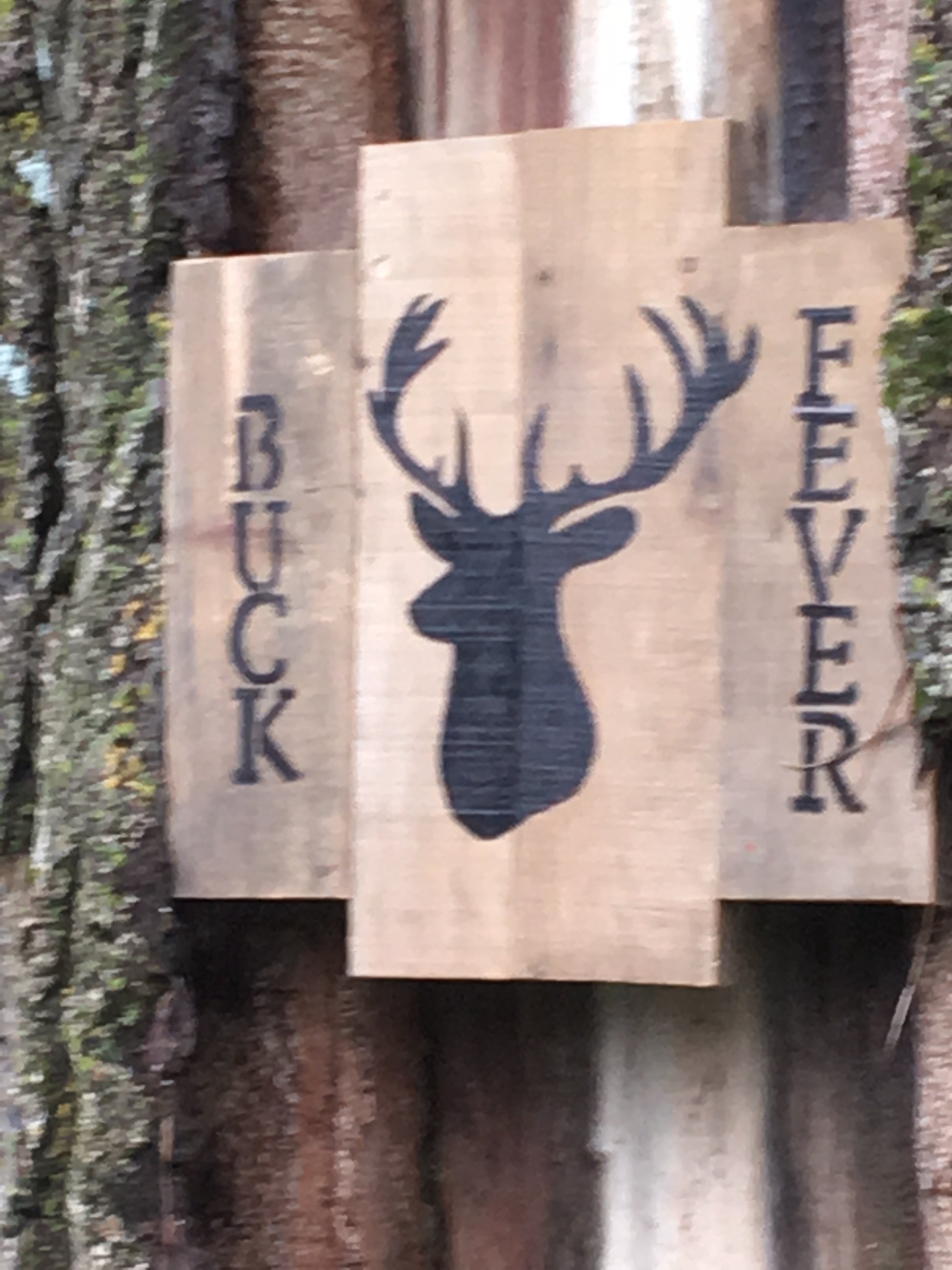 Buck Fever pallet sign in lightning strike of tree