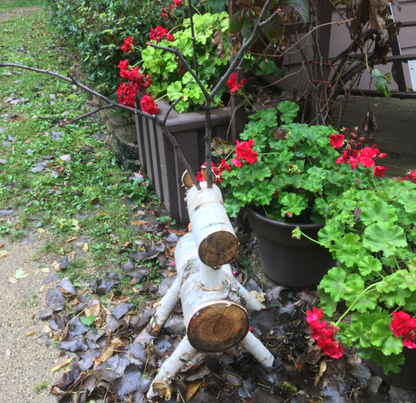 Birch Reindeer