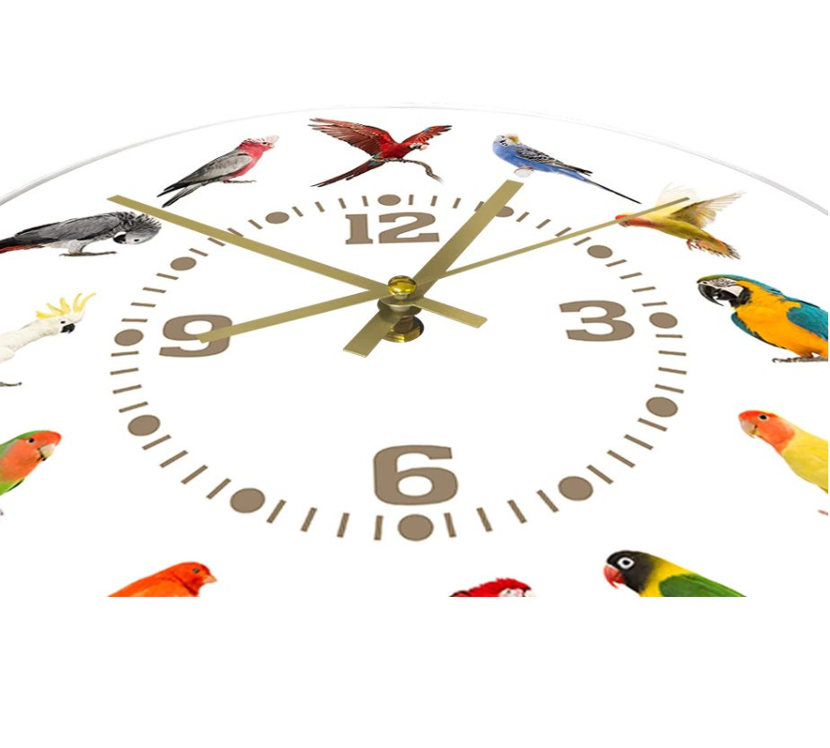 bird clock-hands
