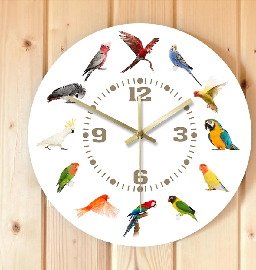 bird clock hanging on pallet wall