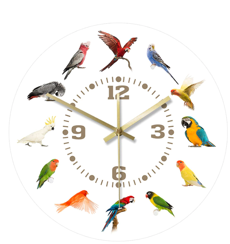 bird clock face