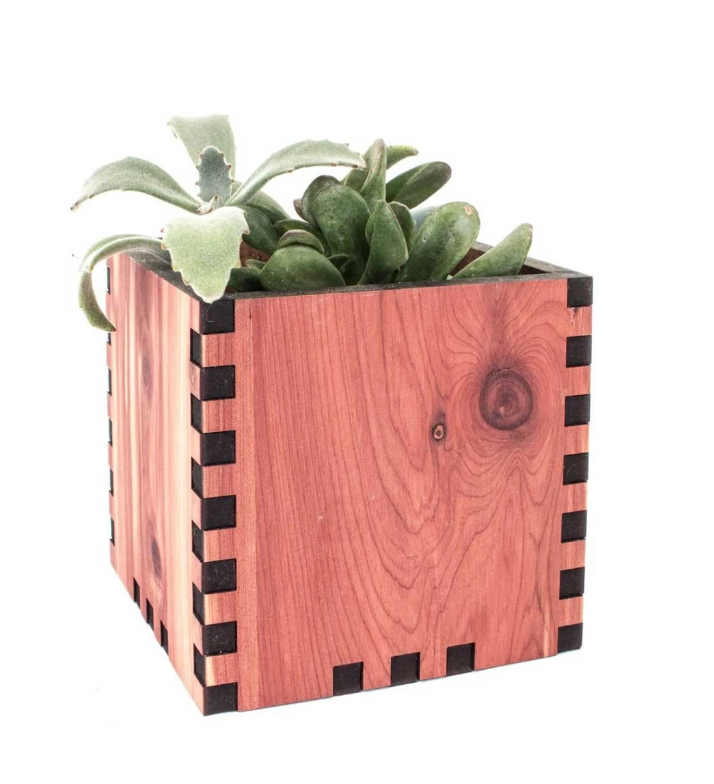 Cedar box planter