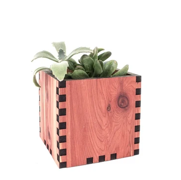 cedar box planter