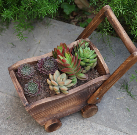 wooden flower pot cart with succulents