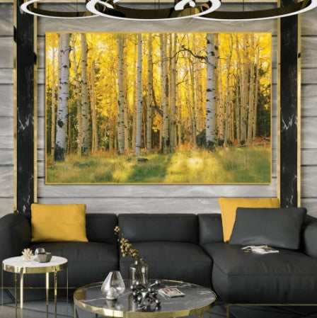 golden sunset birch tree canvas print