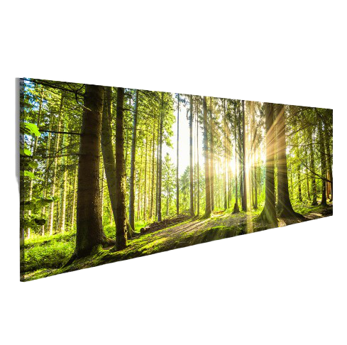 pine forest canvas print