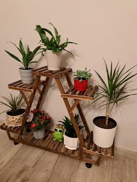 plant stand display-customers photo