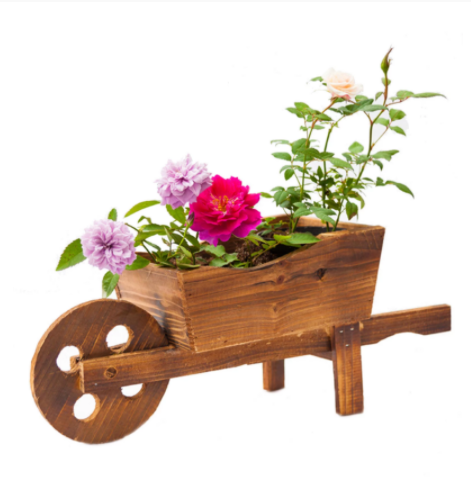 wheelbarrow planter