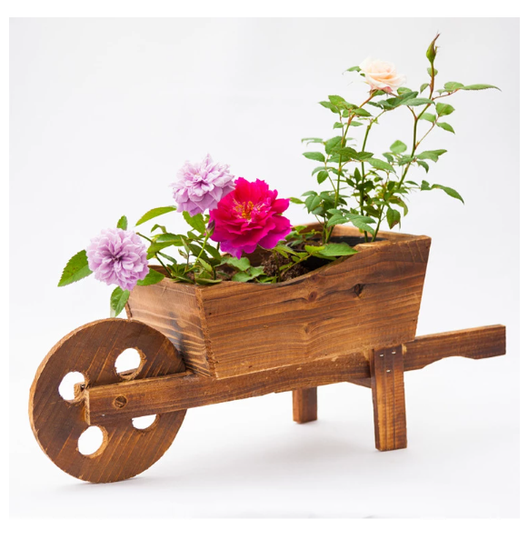 wheelbarrow planter display